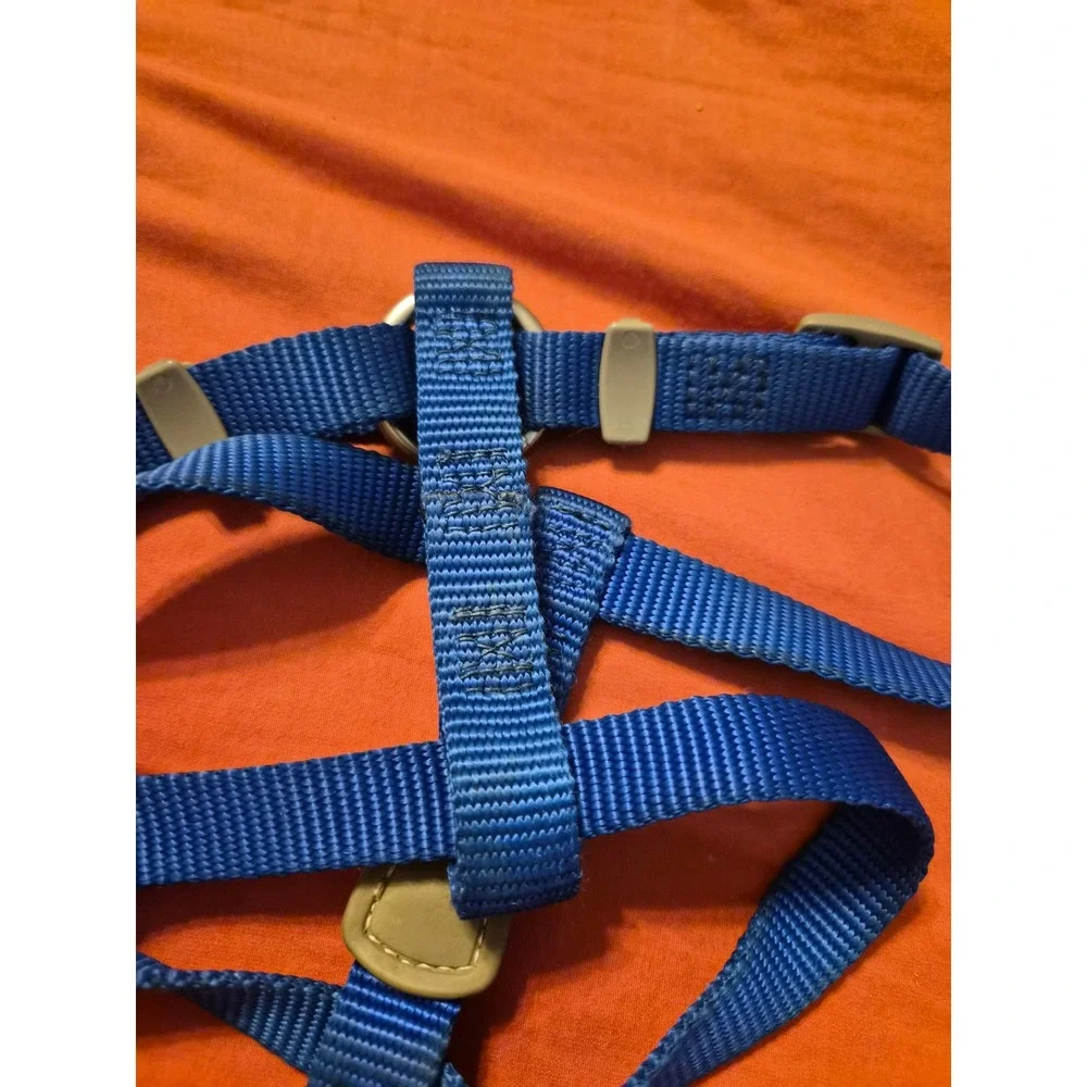 Aspen Pet Blue Nylon Adjustable Dog Harness 5/8 Inch 12-20 Inch Girth